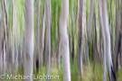 Abstracts