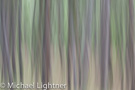 Intimate Landscape