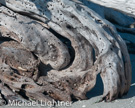 Sanibel